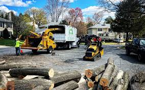 Best Stump Grinding and Removal  in Coplay, PA